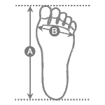 Foot Length (Shoe Size) and Foot Width